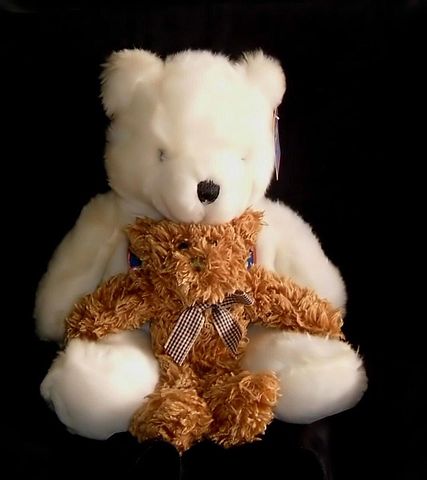 Teddy bear (Wikimedia Commons)